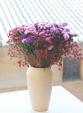 【送花瓶】大束勿忘我鲜花云南基地直发干花永生花摆件