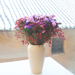 【送花瓶】大束勿忘我鲜花云南基地直发干花永生花摆件