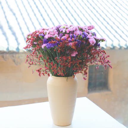 【送花瓶】大束勿忘我鲜花云南基地直发干花永生花摆件