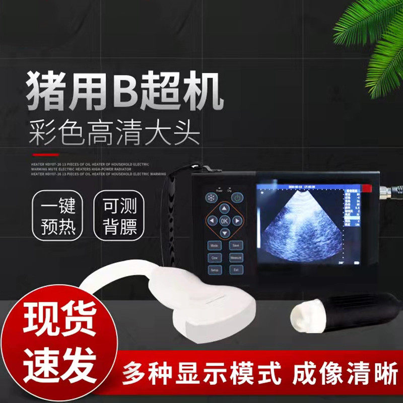 兽用B超机母猪电子机械探头高清便携式测孕仪拓邦牛羊马狗猫B超仪