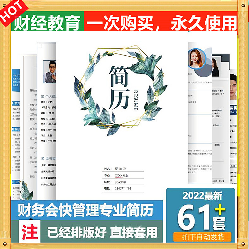 财务会计专业简历30出纳管理总监税务审计求职面试简历电子档模板