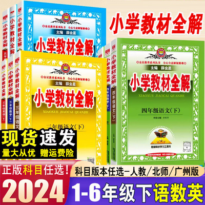 2024小学教材全解薛金星语数英