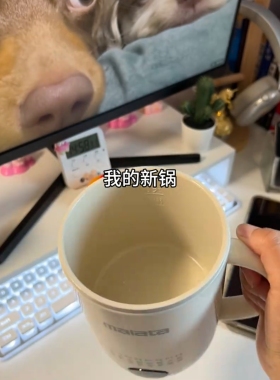 迷你便携全自动电炖杯养生壶
