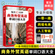 每天10分钟商务外贸英语单词口语大全 跨境电商人工智能一带一路实战英语词汇国际贸易实用商务英语书籍一本书搞定商务英语 赠音频