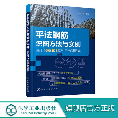 平法钢筋识图方法与实例 基于16G101系列平法新图集  平法钢筋识图基础施工图识读标准构造详图及识图实例 建筑施工图构造详图书