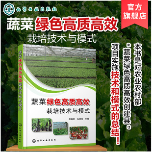 蔬菜绿色高质高效栽培技术与模式 日光温室环境调控露地蔬菜栽培土肥水管理农药病虫害绿色防控书籍 蔬菜绿色高质高效单项实用技术