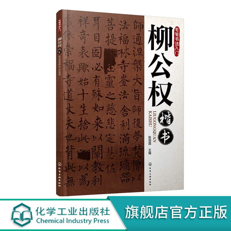 小学生 青少年儿童 书法培训教学 书法初学者自学 毛笔字练习零基础