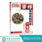 蜜蜂高效养殖技术一本通 中蜂养殖技术实用 杨冠煌 蜜蜂养殖技术大全书籍 养蜂书籍大全中蜂养殖技术大全书 养殖 农村书屋系列
