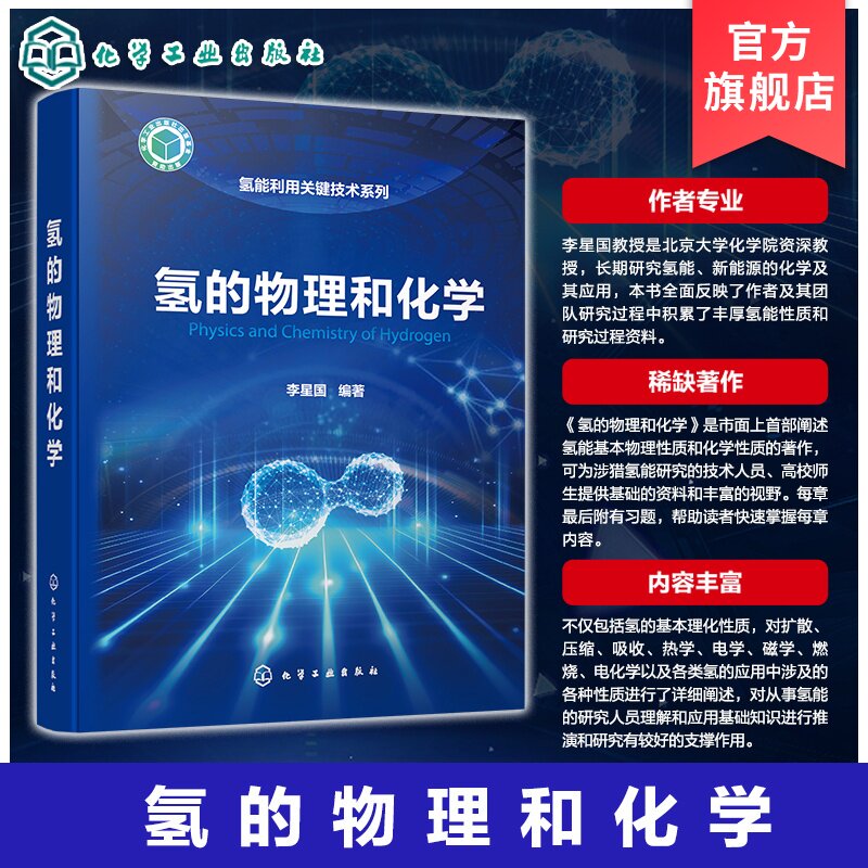氢能利用关键技术系列丛书