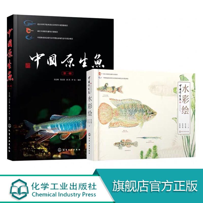 正版 共2册 中国原生鱼水彩 中国原生鱼 中国小型淡水鱼饲养殖常识书精美原创水彩画常见原生鱼类中国原生鱼美艳鉴别鱼种