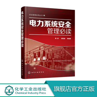 正版 电力系统安全管理必读 电力企业安全教育培训 电力企业现场作业安全技术安全生产标准工作程序 电力生产事故分析与防范书籍