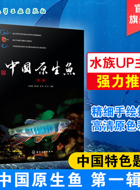 中国原生鱼 第一辑 中国特色原生鱼种类介绍书籍 观赏鱼原生观赏鱼图鉴书淡水鱼类溪流冷水鱼观赏鱼 鱼类科普书海洋生物知识书籍