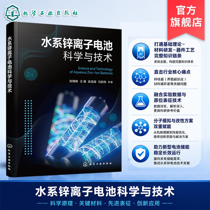 水系锌离子电池科学与技术