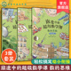 数 思维 旅途中 6岁儿童幼小衔接数学启蒙绘本培养学习能力数感训练基础知识思维训练绘本 挑战 超级数学课 提高 全3册 基础