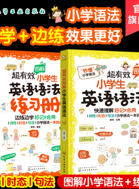 全2册 超有效图解小学生英语语法+练习册6-12岁小学英语新课程标用专项训练 二三四五六年级儿童英语真题图解小学英语语法真题练习