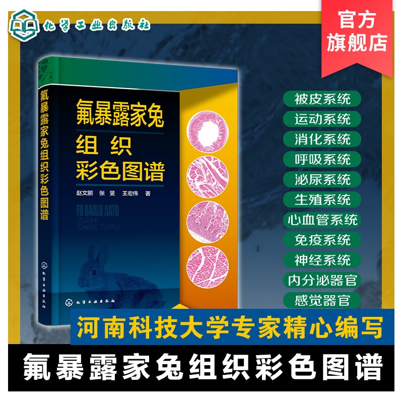 氟暴露家兔组织彩色图谱