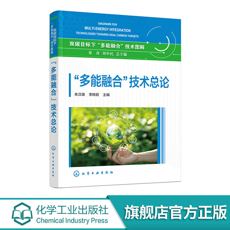多能融合 技术总论 化石能源清洁高效利用与耦合替代 可再生能源规模应用与先进核能 储能氢能与智能电网 终端能源低碳转型参考书