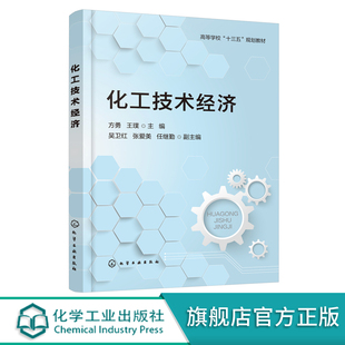 化工技术经济 方勇 化工经济石油化工企业发展战略 HSE管理 注册咨询工程师考试辅助参考书技术经济类教材 高等学校十三五规划教材