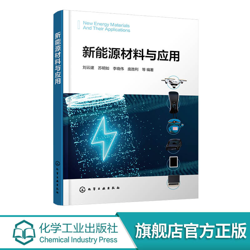 新能源材料与应用 新能源材料的基础和先进表征技术 电化学能源材料基本原理与内在规律 研究方法及科技前沿 材料化学领域人员书籍