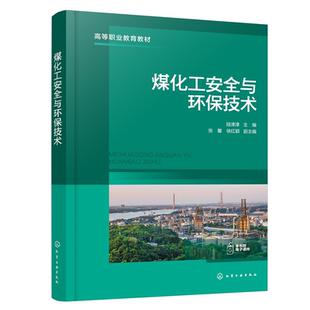煤化工安全与环保技术 陆津津 安全生产环境保护知识 安全生产案例分析参考书 高等职业教育煤化工应用教材安全生产管理人员培训书