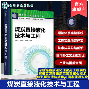 煤炭直接液化技术与工程 煤炭清洁转化技术丛书 液化用煤优选原则 煤加氢液化反应影响因素 煤直接液化典型工艺过程与技术特征丛书