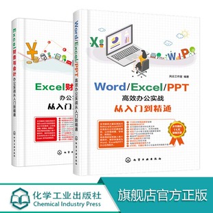 Excel 共2册 办公****自学书籍 excel从入门到精通书籍 Word PPT高效办公实战从入门到精通 Excel财务与会计办公实战从入门到精通