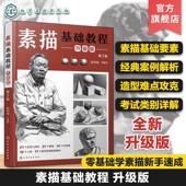 素描基础教程 经典 张恒国 几何石膏人像画法图文美术生素描考试详解 案例解析图书籍 零基础素描自学入门新手速成教程 升级第2版