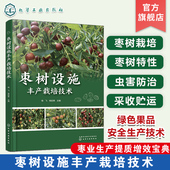 枣农枣树专业合作社农业技术人员参考 枣树设施丰产栽培技术 绿色安全果品生产 现代化设施管理 农林院校相关专业师生阅读 杨飞