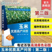 玉米优质高产问答 科学种植玉米 第二版 玉米高效栽培种植技术大全 玉米病虫害诊断 玉米种植技术书籍 粮油经济作物高效栽培丛书