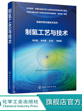 氢能利用关键技术系列 制氢工艺与技术 制氢技术书籍 零CO2排放制氢技术方法 制氢工艺 可供从事能源研究的工程技术人员参考