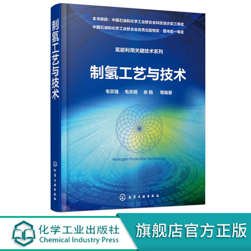 制氢工艺与技术书籍