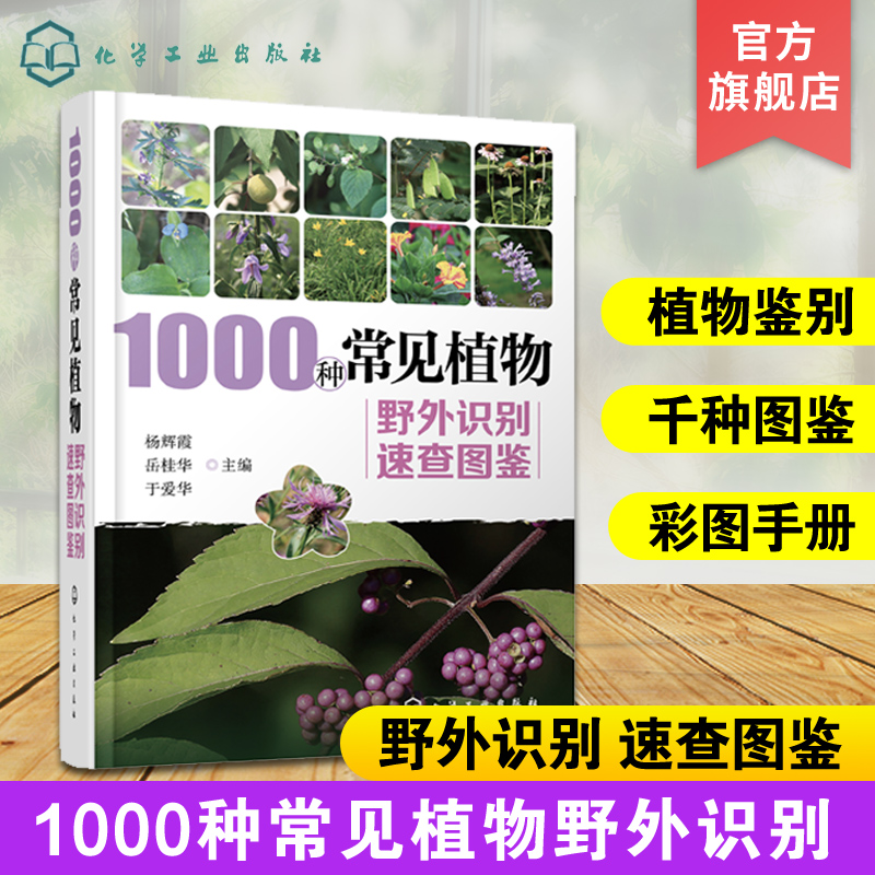 1000种常见植物野外识别速查图鉴  图解中草药大全 家庭书籍野外识别原植物鉴别图册中国常用手册 图识别与应用图典图谱