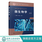 第二版 高校生物类专业教材 王明道 微生物形态构造细胞结构生理代谢 微生物领域科研人员参考 微生物遗传微生物育种 微生物学