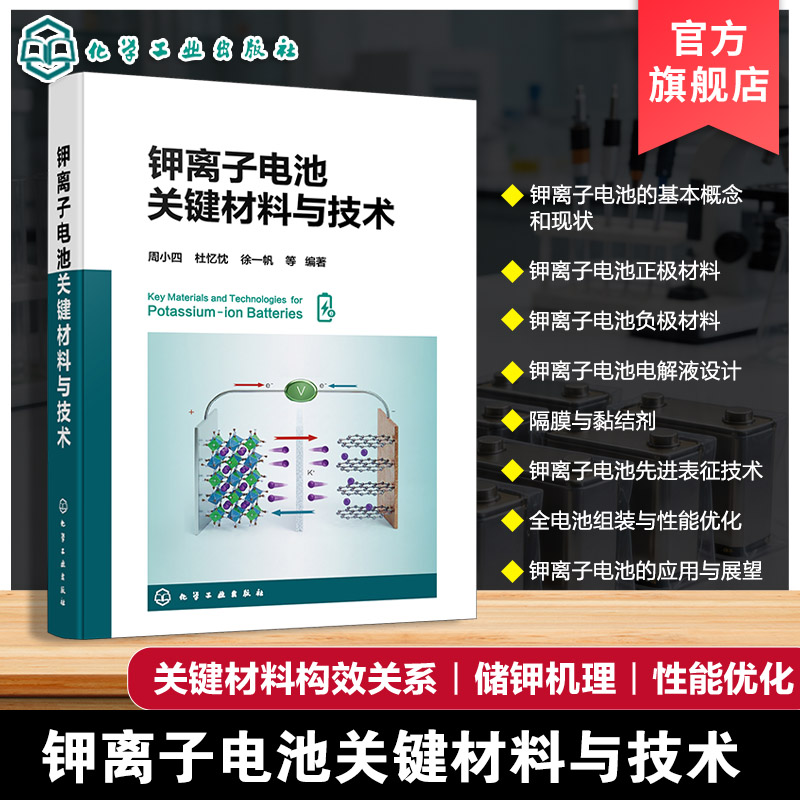 钾离子电池关键材料与技术