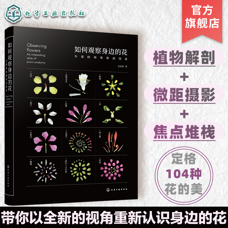 如何观察身边的花 有趣的植物解剖图鉴