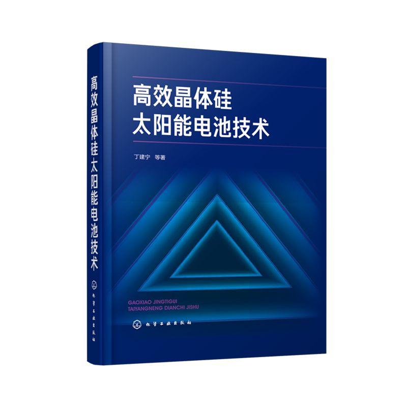 高效晶体硅太阳能电池技术 高效晶体硅电池制备及性能研究关键制造技术发展趋势书籍 硅太阳能电池领域技术人员的参考著作