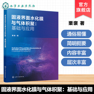 基础与应用 结构特征与性质 栗褒 积聚形成纳米气体吸附层机制 矿业工程丛书 固液界面水化膜及气体吸附 固液界面水化膜与气体积聚