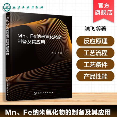 Mn Fe纳米氧化物的制备及其应用 9787122493149 化学工业出版社hg书籍