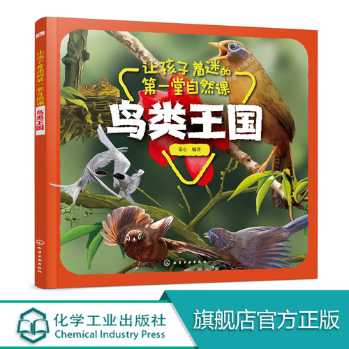 让孩子着迷的第一堂自然课 鸟类王国 3-6岁儿童科普科普绘本儿童绘本 本书采用彩色印刷图片精美将动物形象栩栩如生展示小朋友面前