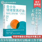 国内首部青少年情绪聚焦疗法工作手册 青少年情绪聚焦疗法 临床工作手册 青少年焦虑抑郁情绪障碍边缘性人格障碍亲子关系创伤书籍