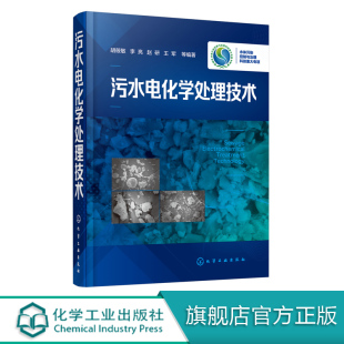 书籍 污水处理技术书籍 废水电化学处理技术基本原理工艺流程设 李亮 正版 水环境管理 污水电化学处理技术 水污染治理 胡筱敏