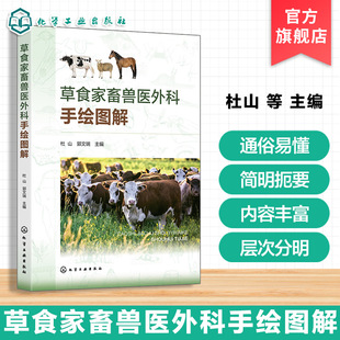 草食家畜兽医外科手绘图解 牛马羊疾病诊疗手册 兽医临床指南 外科手术操作步骤 家畜常见病防治 手术器械使用说明 临床兽医工具书