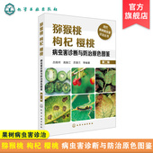 果树病虫害诊治丛书 猕猴桃枸杞樱桃病虫害指南 果树病虫害诊断与防治彩色图鉴 第二版 猕猴桃枸杞樱桃病虫害诊断与防治原色图鉴