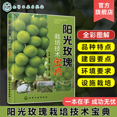 李政 葡萄花果管理 葡萄栽培 葡萄肥水管理 农技推广人员葡萄种植园管理及技术人员参考 葡萄树体管理 阳光玫瑰栽培技术宝典