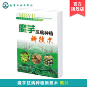 魔芋种植品种改良策略 魔芋抗病种植新技术 魔芋种植实用技术应用书籍 魔芋病虫害防治策略 魔芋根腐病防控策略 周燚 魔芋生长习性