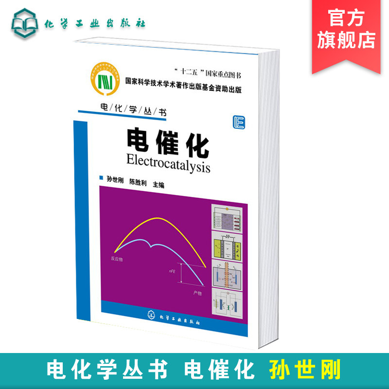 正版 电化学丛书 电催化 电催化基础知识 电催化过程教程书籍 电催化剂理论设计理论模拟制备工艺技术书籍 电催化基础知识应用书籍