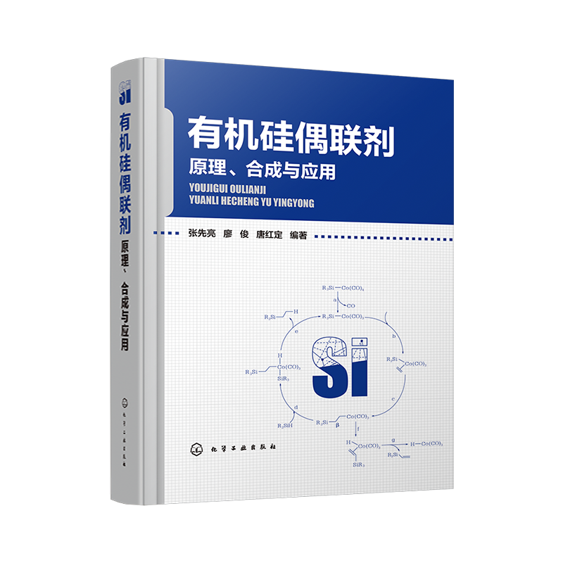 有机硅偶联剂 原理 合成与应用 张先亮廖俊 有机硅偶联剂生产制备技术书籍 硅烷偶联剂大分子硅偶联剂硅烷偶联剂衍生物合成及应用