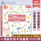 手绘彩铅画图 小清新彩铅手绘基础1000例 彩铅画技法从入门到精通 彩色铅笔手绘书 零基础彩铅画技法书籍 彩铅画入门教程书