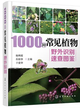 1000种常见植物野外识别速查图鉴  图解中草药大全 家庭书籍野外识别原植物鉴别图册中国常用手册 图识别与应用图典图谱