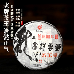 刮风寨茶王树古树茶23年头春易武普洱茶生茶饼玩高杆大单株级